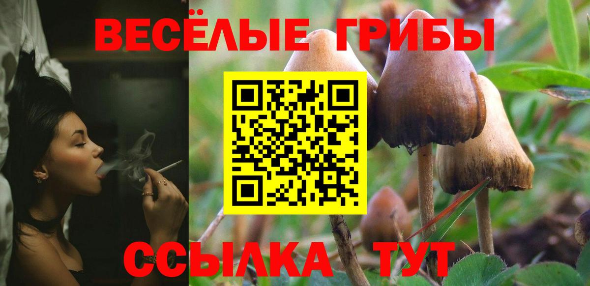 Нижнекамск  Галлюциногенные грибы мухоморы  Вход с VPN 