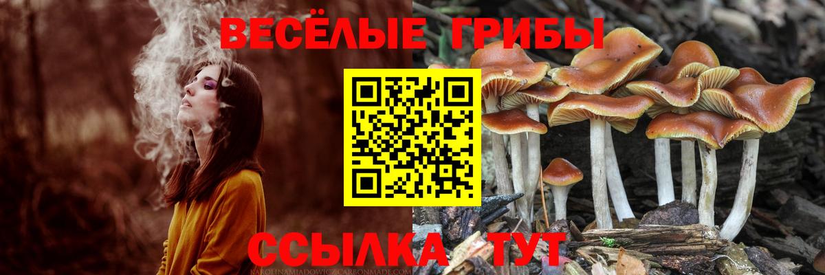 Галлюциногенные грибы MAGIC MUSHROOMS Нижнекамск